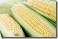 Corn4