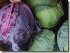 Fresh_cabbage
