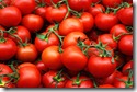 Red-tomatoes1